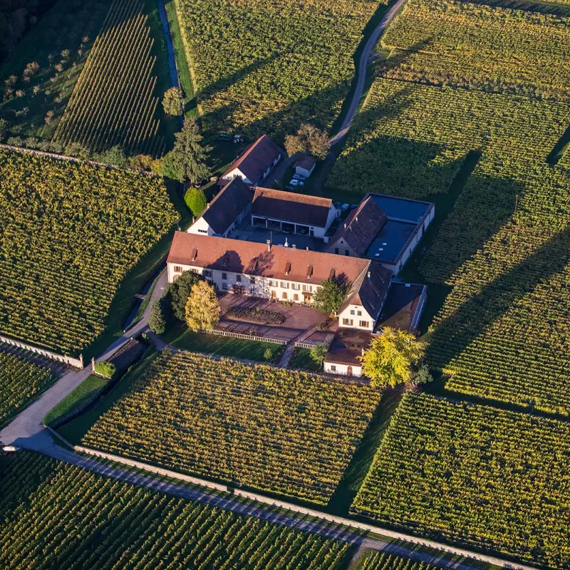 Domaine Weinbach og vínekrurnar í kring, séð úr lofti